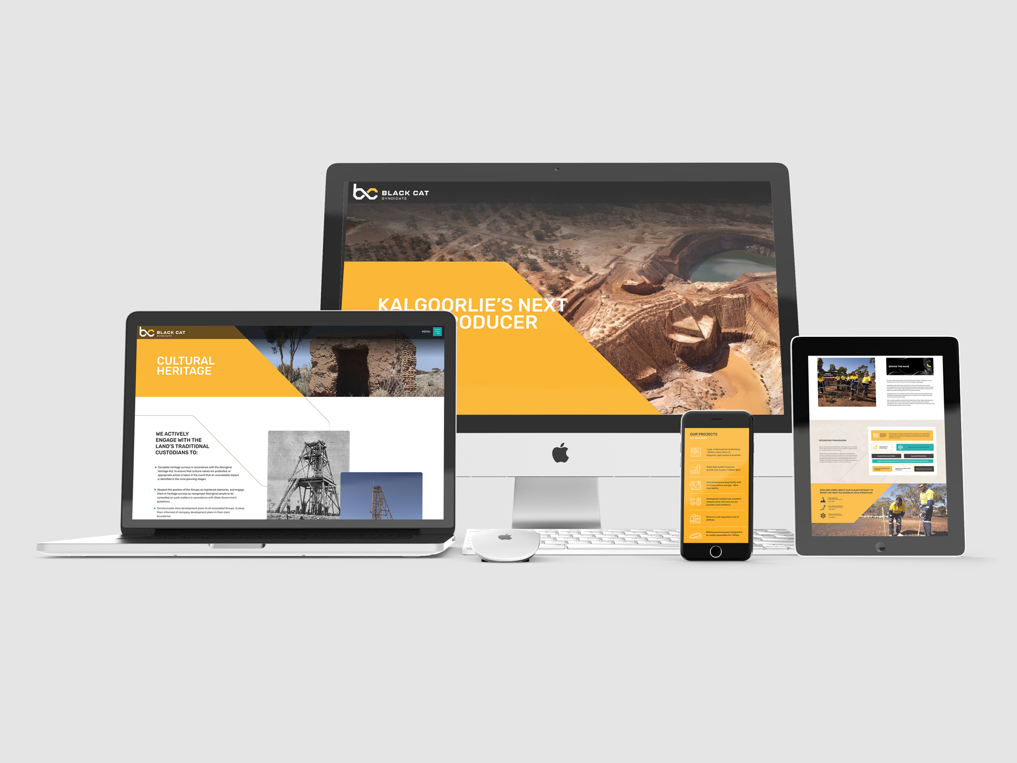 I will develop you a beautiful website with JavaScript, React, Laravel